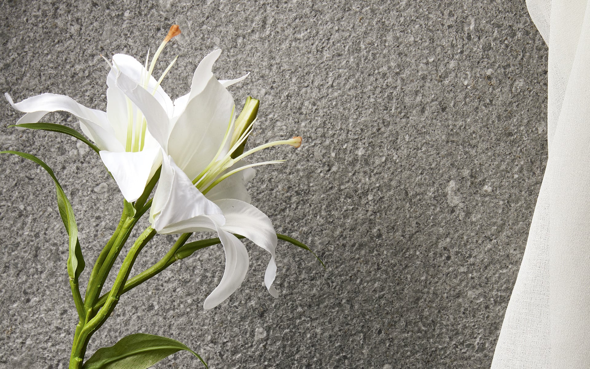 Iris---Victorian1201-grey