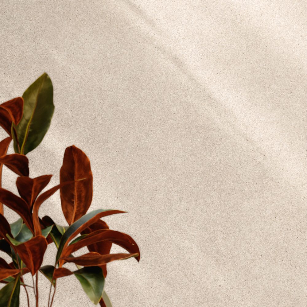 AMB_VALENTINA-TAUPE_120X120_2-1000x1000