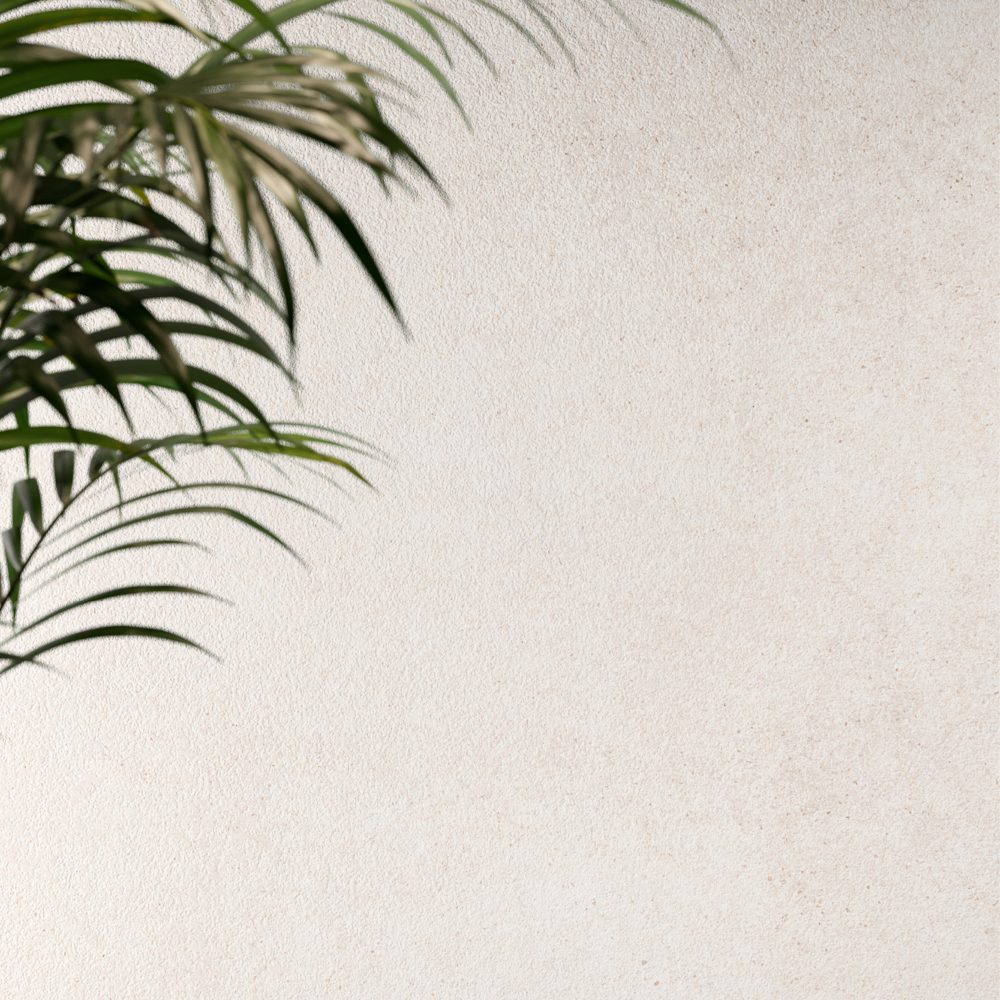 AMB_VALENTINA-WHITE_120X120_2-1000x1000